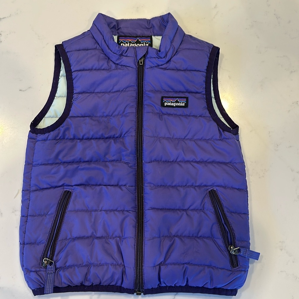 Patagonia purple vest